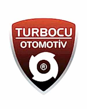 Volkswagen Passat 1.8 T Turbo (150 Hp), 53049880015, 53049700015, 5304-988-0015, 5304-970-0015
