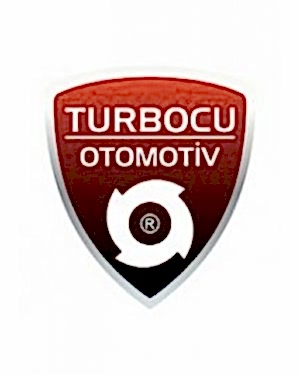Volvo S60 Turbo II 2.0 D3 (163 Hp), 795680-5003S, 795680-0003, 31312713