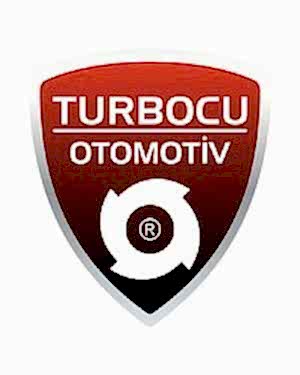 Opel Vivaro 1.6 CDTi Turbo (140 Hp), 54389700004, 54389700010, 5438 970 0010, 55599546