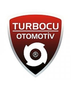 Ford C-MAX 1.6 Turbo (182 Hp), 5439 998 0123, 5439 970 0123, 5439 998 0122, BM5G-6K682-DD, BM5G-6K682-EA, BM5G-6K682-DB