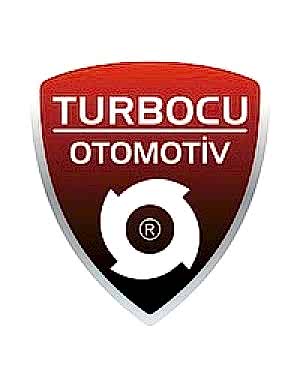Volkswagen T5 Transporter Turbo 2.0 TSI (204 Hp), 06J145713Q, 06J145713H