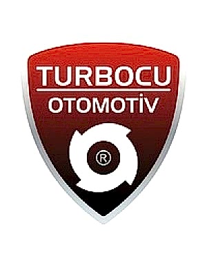 Renault Laguna Turbo 3.0 dCi (235 Hp), 4918907803, 49189-07803, 14411-00Q1K, 1441100Q1K