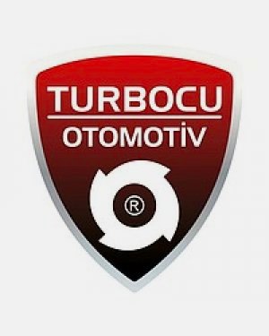 Renault Scenic Turbo 2.0 (224 Hp), 4937707313, 4937707311, 4937707310, 49377-07313, 7701478862, 7701476048