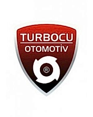 Skoda Octavia Turbo 2.0 TSI (200 Hp), 5303 988 0290, 5303 988 0290, 06J145713K, 06J145713LX